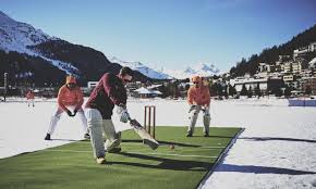 Image result for Flamingo Cricket Club