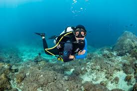 Image result for Deep and Wide Diving