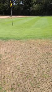 Image result for Henbury Golf Club
