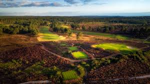 Image result for Hankley Common Golf Club