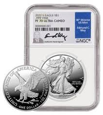Image result for silver sa