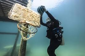 Image result for Blue Water Diving