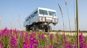 Image result for tundra buggy