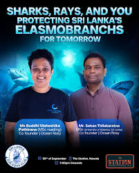 Image result for Reading University Sub Aqua Club