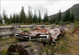 Image result for St Helens Miners