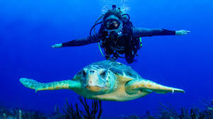Image result for Underwater Adventures