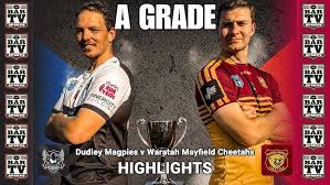 Image result for Mayfield Rugby League Football Club