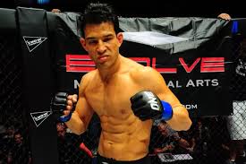 Image result for Chiltern MMA