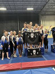 Image result for Elite Recreational Gymnastics Club