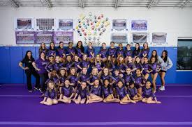 Image result for Mk Springers Gymnastics Club