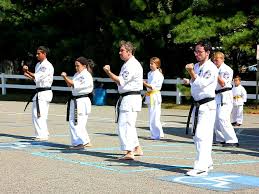 Image result for Ryusui-ryu Martial Arts School East Grinstead