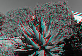 Image result for Anaglyph