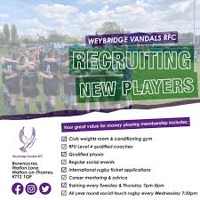 Image result for Weybridge Vandals Rugby Club