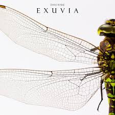 Attēlu rezultāti vaicājumam “exuvia”