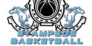 Image result for Lazyboys Basketball Club