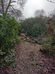 Image result for Roxburgh Reivers Orienteering Club