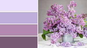 Image result for flieder