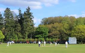 Image result for Aston Rowant Cricket Club