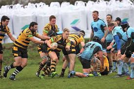 Image result for Ely Rugby Union Football Club