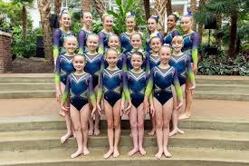 Image result for Brighton & Hove Gymnastics Club