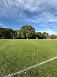 Image result for Claygate Royals Football Club