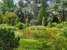 Image result for Arboretum Trompenburg