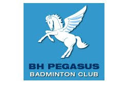 Image result for Basingstoke Junior Badminton Club