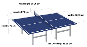 Image result for Table Tennis