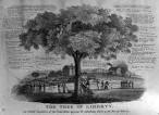 Tariff | Primary Source Nexus