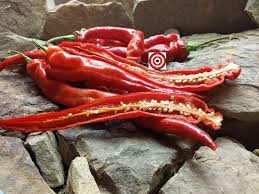 Afbeeldingsresultaat voor joe long cayenne hot pepper