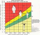 What is Body Mass Index? | Better Fitness Daily