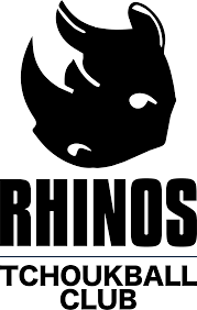 Image result for Portsmouth Tchoukball Club