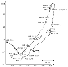 Attēlu rezultāti vaicājumam “Lycogala botrydium young”