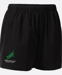 Image result for Norwich Dragons Hockey Club