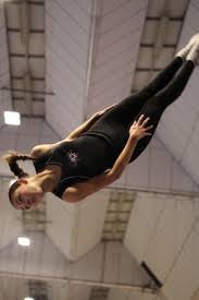 Image result for Mid Sussex Martlets Badminton Club