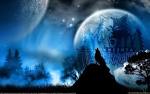 Minnesota Timberwolves
