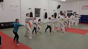 Image result for Twyford Higashi Karate Club