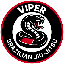 Image result for Vipers Thai/Kickboxing School