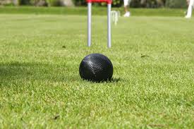 Image result for Middlesbrough Croquet Club