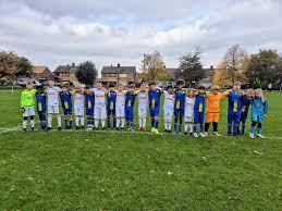Image result for Didcot Ladies Casuals Football