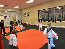 Image result for Martial Arts University Charlotte