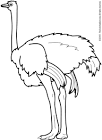 Ostrich coloring page