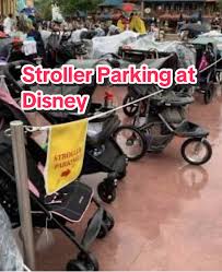 Image result for Soar Valley Strollers C.C