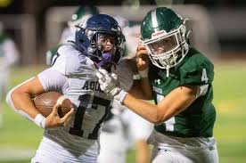 Image result for Aquinas Football Club