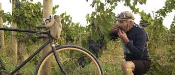 Image result for Farnborough and Camberley Cc - Luciano Cycles