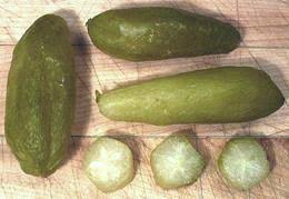 Attēlu rezultāti vaicājumam “Oxalis acetosella fruit”