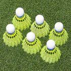 Image result for Shuttlecocks Badminton Club