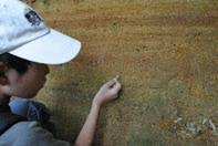 「 ｿｽ ｽｿ ｽｽA ｿｽ ｽｿ ｽｽ[ ｿｽ ｽｿ ｽｽ ｿｽ ｽｿ ｽｽ ｿｽ ｽｿ ｽｽ ｿｽ ｽｿ ｽｽ ｿｽ ｽｿ ｽｽ` ｿｽ ｽｿ ｽｽF ｿｽ ｽｿ ｽｽA」の画像検索結果