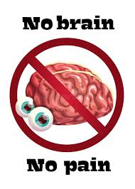Image result for no brain