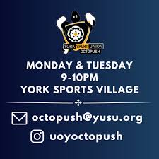 Image result for Slough Octopush Club